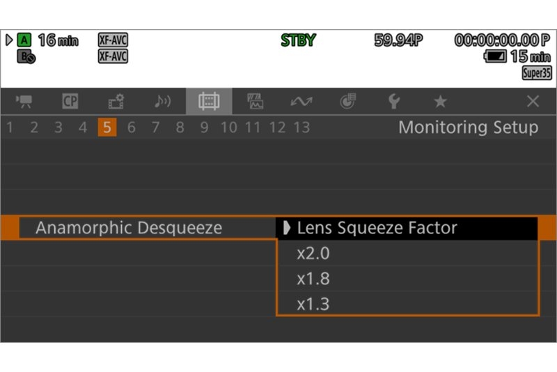 Anamorphic lens support